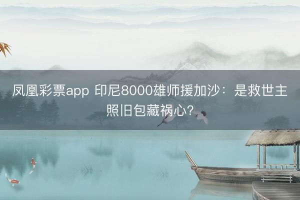 凤凰彩票app 印尼8000雄师援加沙:是救世主照旧包藏祸心?