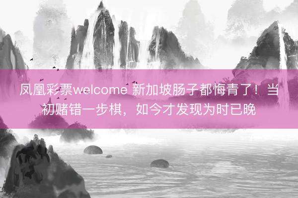 凤凰彩票welcome 新加坡肠子都悔青了！当初赌错一步棋，如今才发现为时已晚