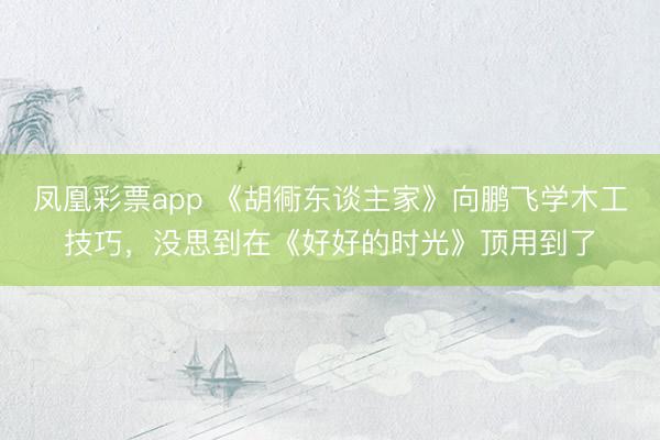 凤凰彩票app 《胡衕东谈主家》向鹏飞学木工技巧,没思到在《好好的时光》顶用到了